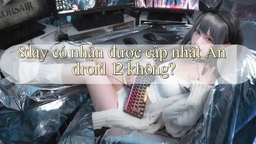 8day có nhận được cập nhật Android 12 không? 8day có nhận được cập nhật Android 12 không?