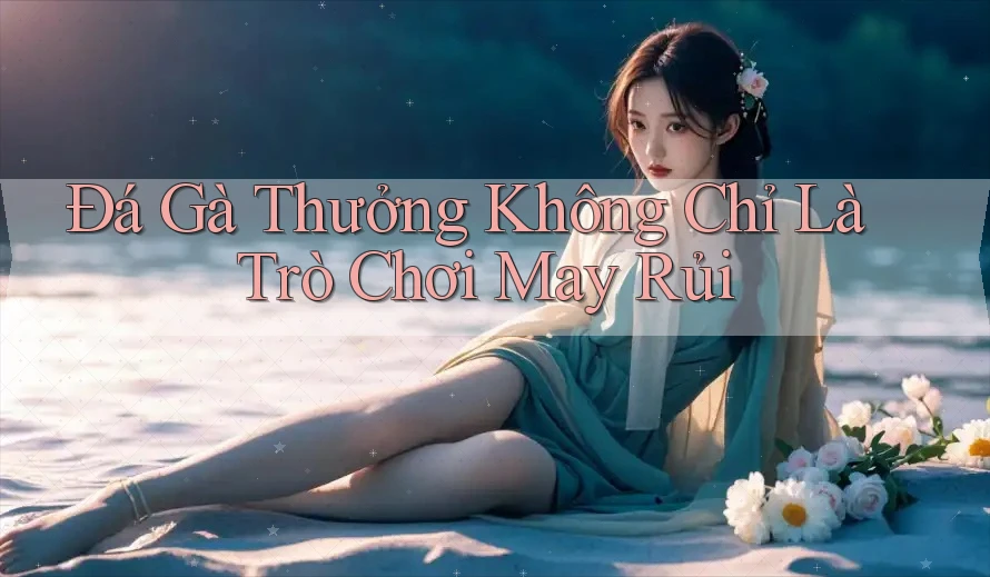 Đá Gà Thưởng Không Chỉ Là Trò Chơi May Rủi Đá Gà Thưởng Không Chỉ Là Trò Chơi May Rủi