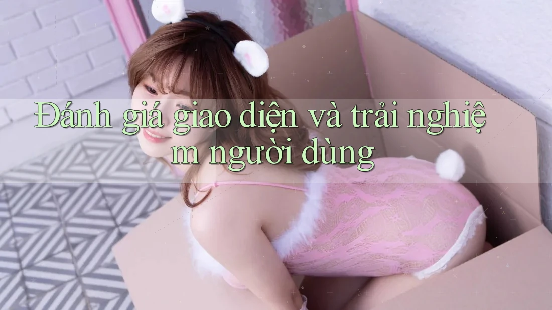 Đánh giá giao diện và trải nghiệm người dùng
